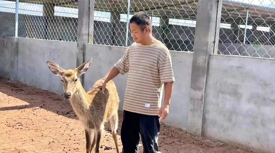 菠菜排名站